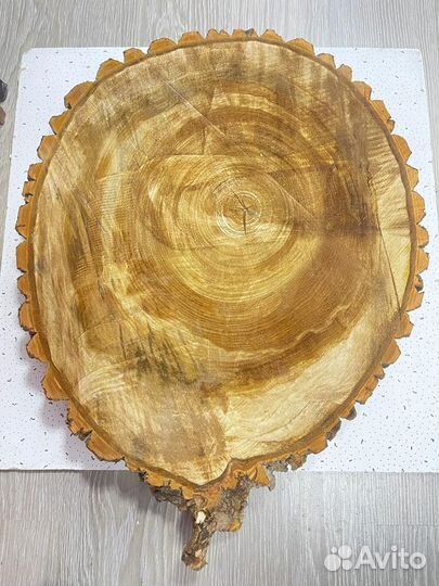 Спилы и срезы деревьев