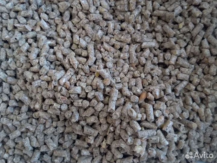 Рост утка, гуси, муларды