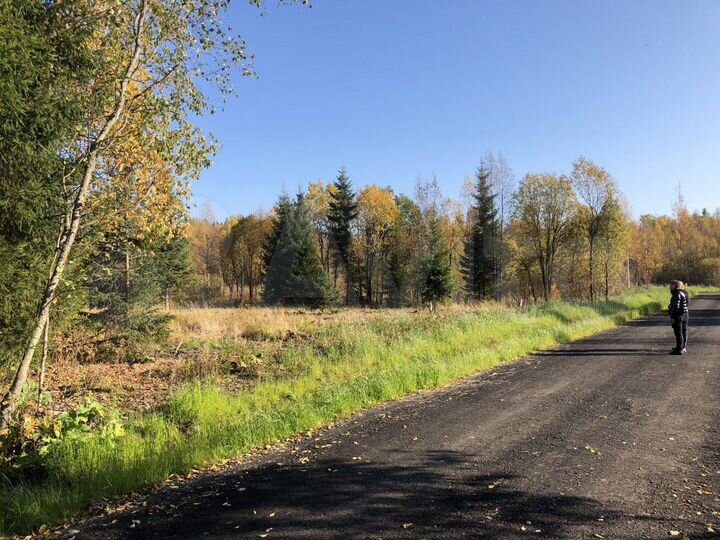 Участок 11,9 сот. (СНТ, ДНП)