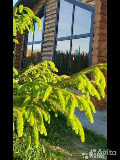 Банный комплекс в аренду