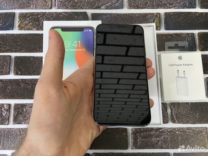 iPhone X 256 gb silver 100