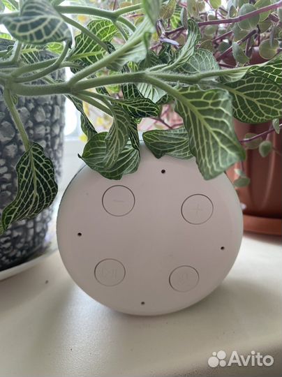 Мини станция Маруся