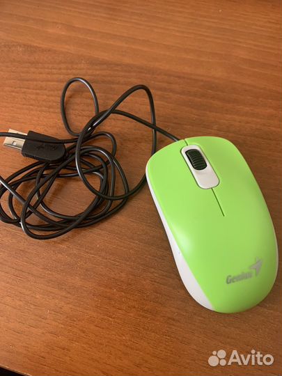 Мышка Genius DX-110 зеленая