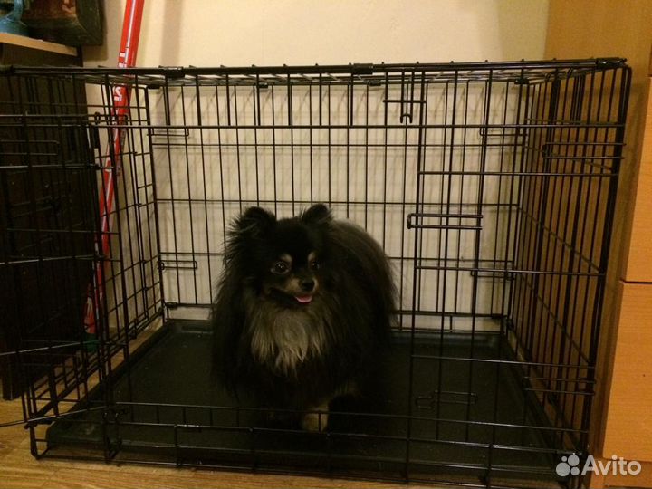 Клетки в аренду для собак и кошек