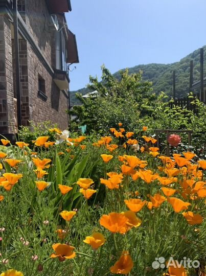 Отдых на черном море Ольгинка