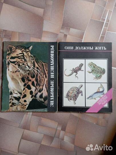 Познавательные книги для детей