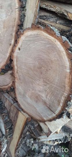 Спилы карагач и дуб