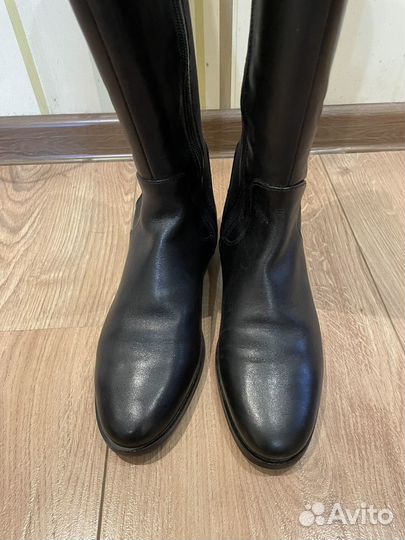 Сапоги женские осенние Ecco