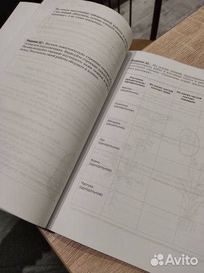 Рабочая тетрадь по биологии 6 класс