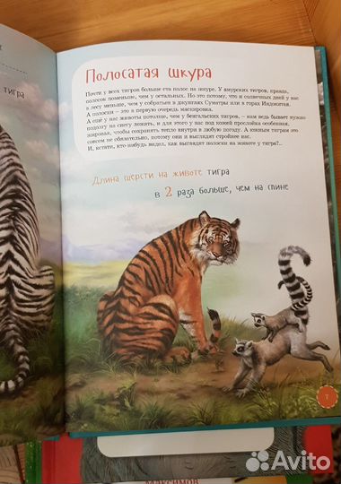 Комплект книг о животных