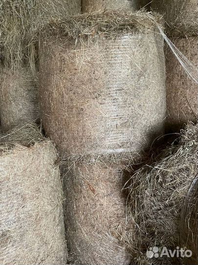 Сено в рулонах опт/Доставка