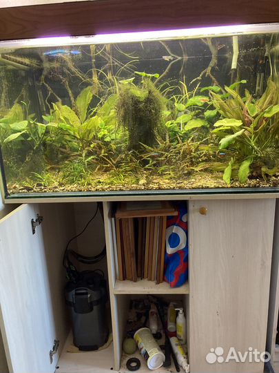 Аквариум с тумбой 300 литров