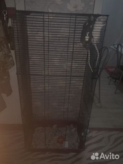 Клетка для грызунов большая