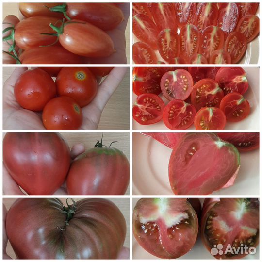 Семена сортовых томатов