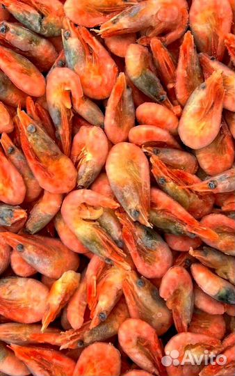 Оптом Креветки