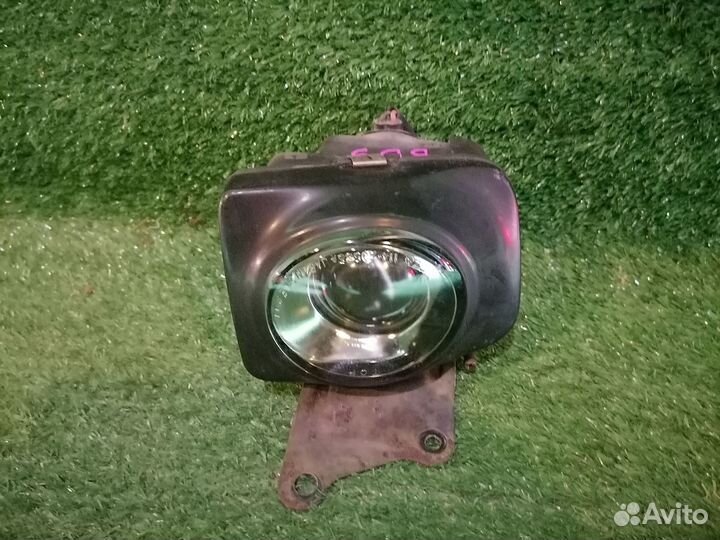 Фара противотуманная правая 114-20585R Subaru Lega