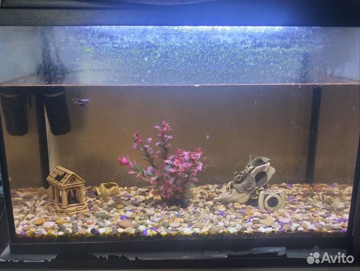 Аквариум