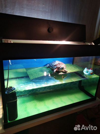Аквариум для черепах 100 литров. Новый. Гарантия