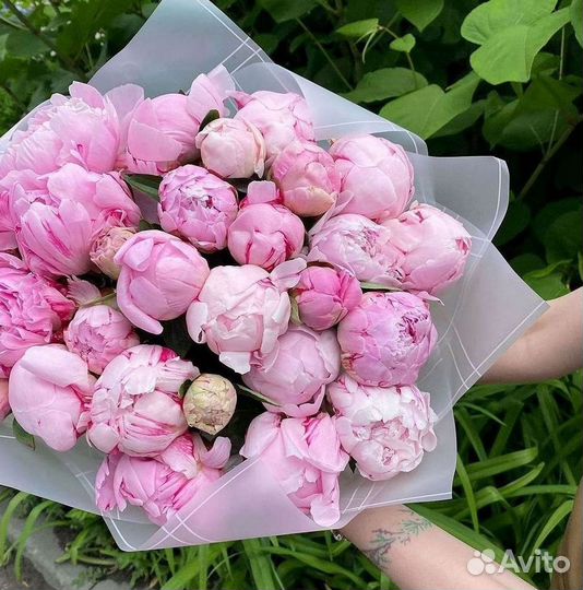 Пионы Букет пионов Доставка цветов