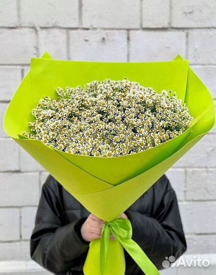 Ромашки букет