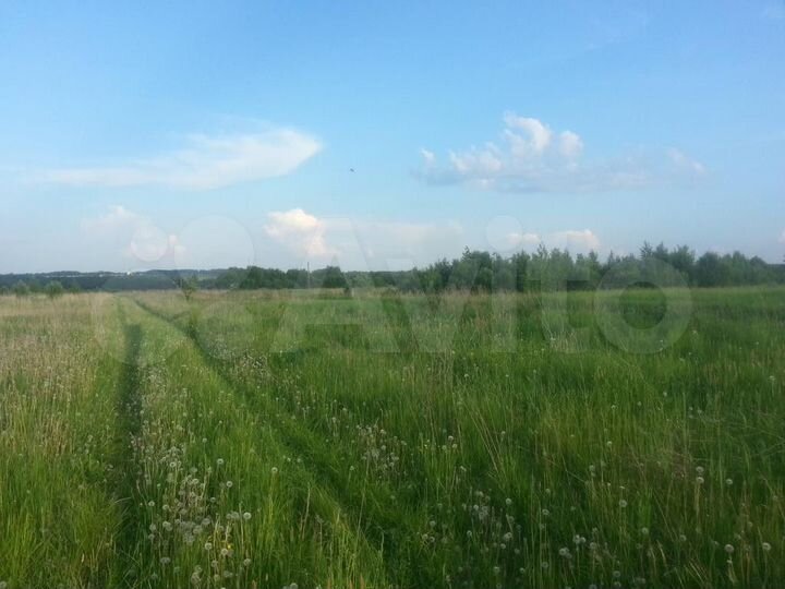 Участок 25 га (ИЖС)