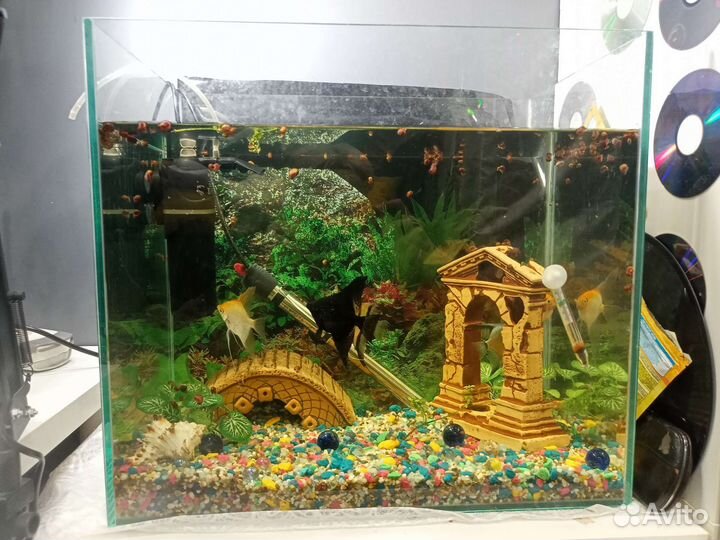 Аквариум