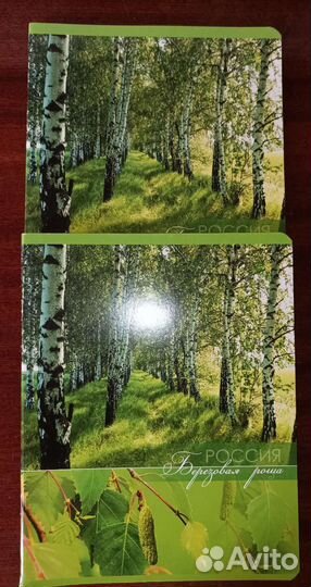 Тетради 18-96 листов