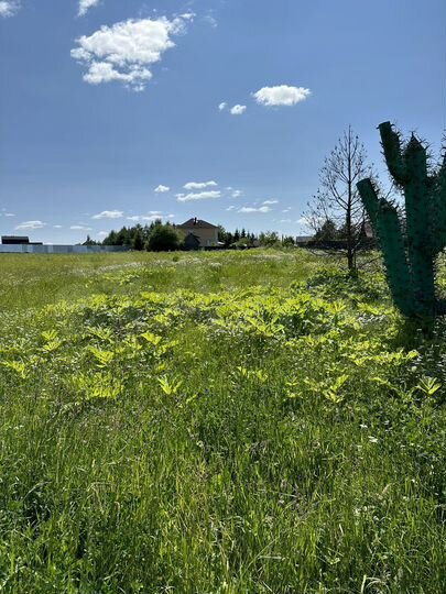 Участок 7,5 га (СНТ, ДНП)