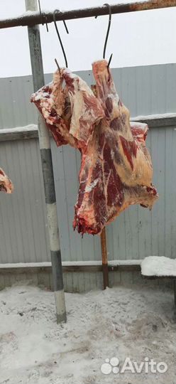 Мясо говядины деревенское(Телятина) и Баранина