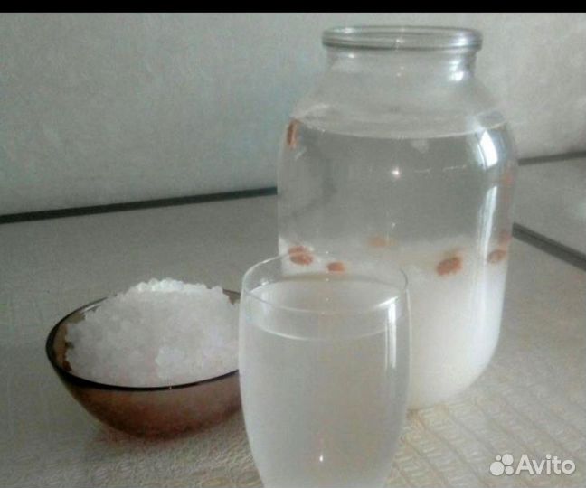 Индийский морской рис