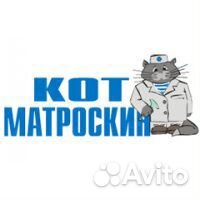 Ассистент ветеринарного врача