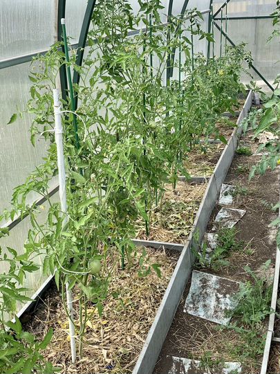 Дача 45 м² на участке 15 сот.