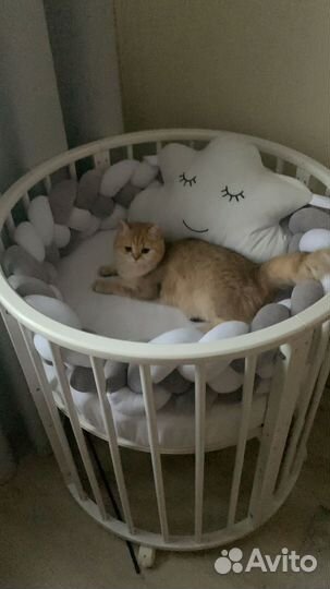 Бортик косичка