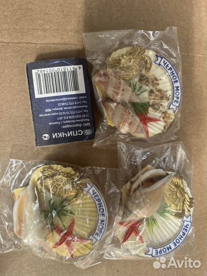 Магнит ракушка