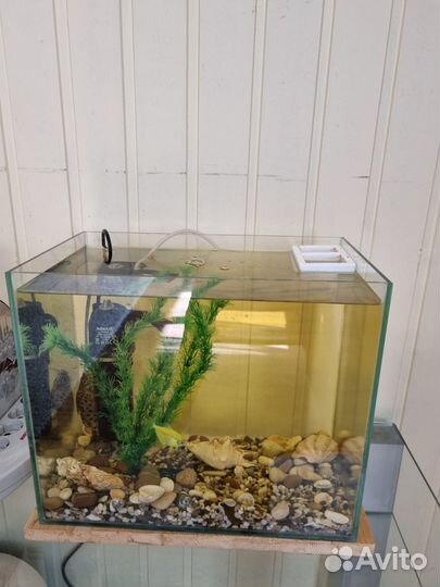 Аквариум с подарком