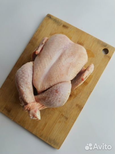 Кура шекснинская птицефабрика (вологодская область