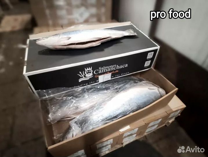 Лосось охлаждённый и замороженный