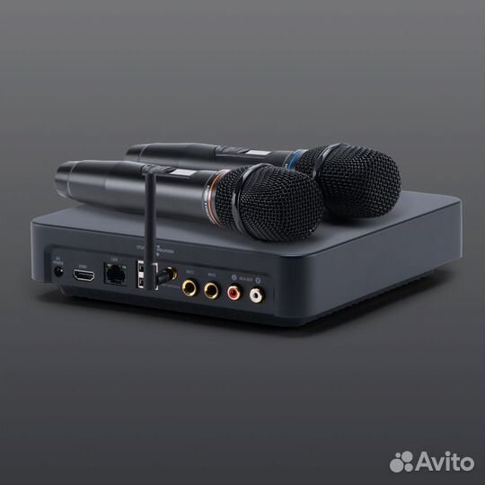 Караоке Evobox Plus черный