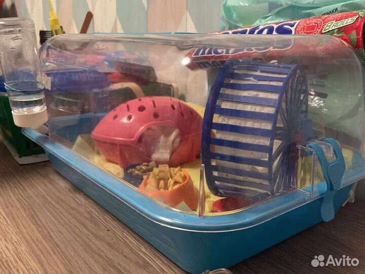 Контейнердля грызунов