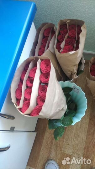 Розы 50см