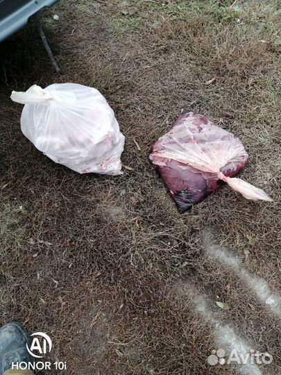 Корм для собак