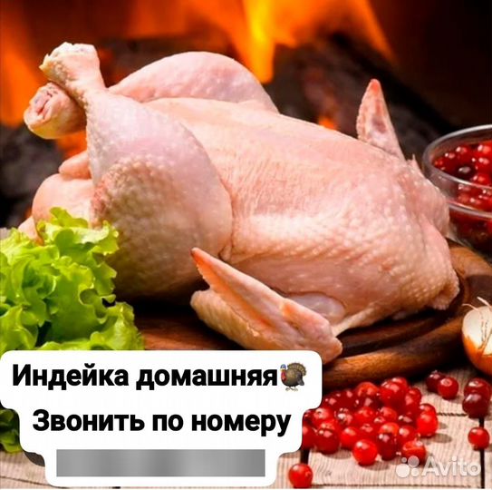 Продаются индюки