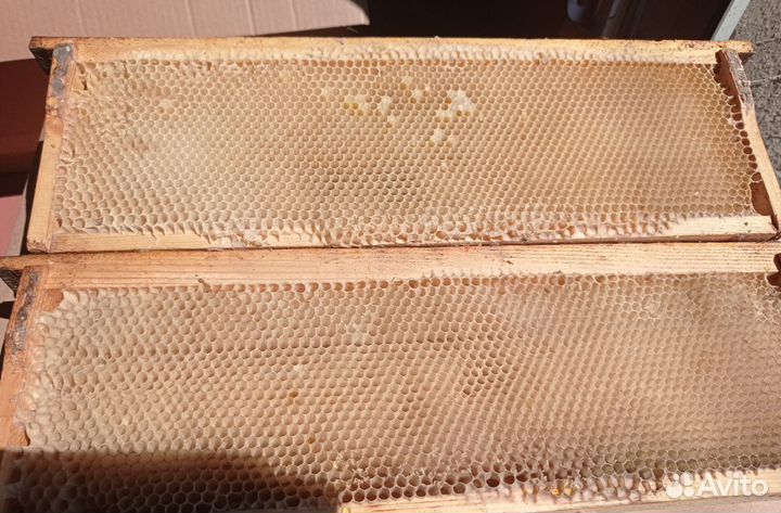 Магазинные рамки сушь (Дадан)