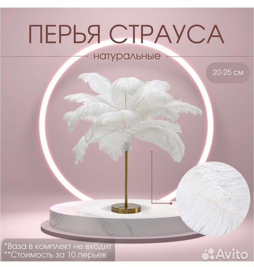 Перья страуса