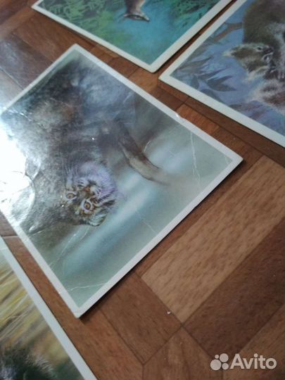 Открытки Исакова подписанные и чистые