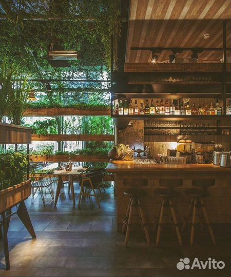 Тропическая кофейня готовый бизнес