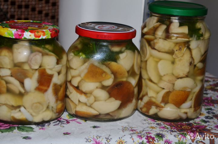 Белые грибы соленые и маринованные
