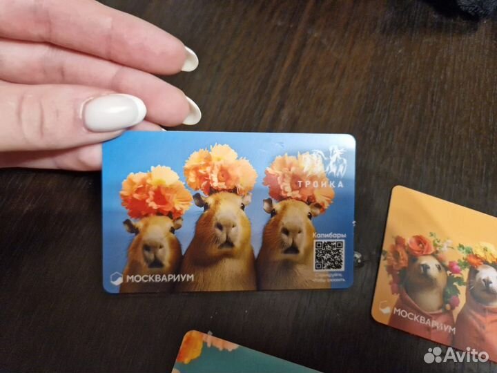 Карта Тройка Москвариум