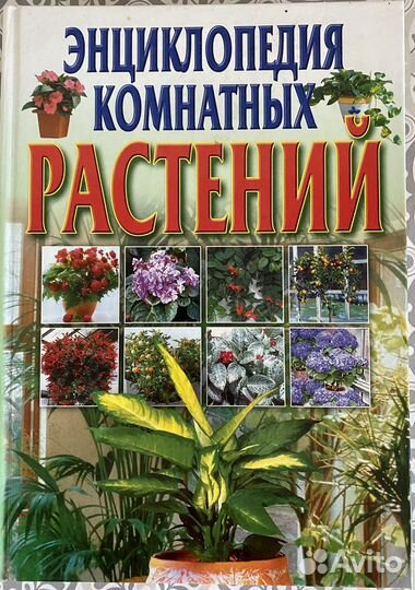 Энциклопедия комнатных растений