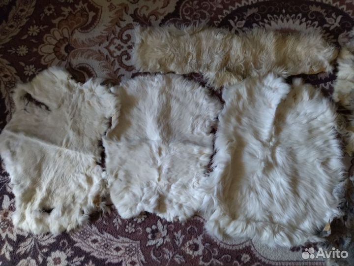 Шкурки кролика